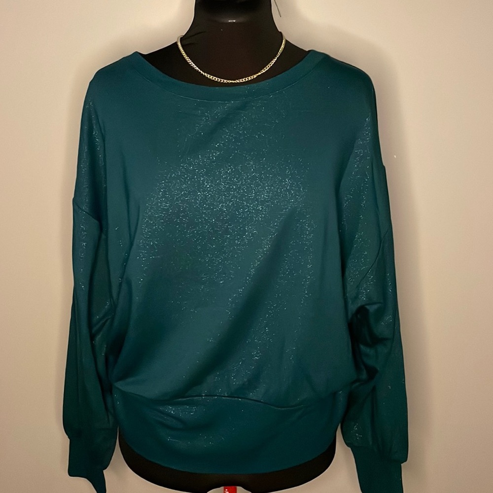 Express Shimmery Sweatshirt